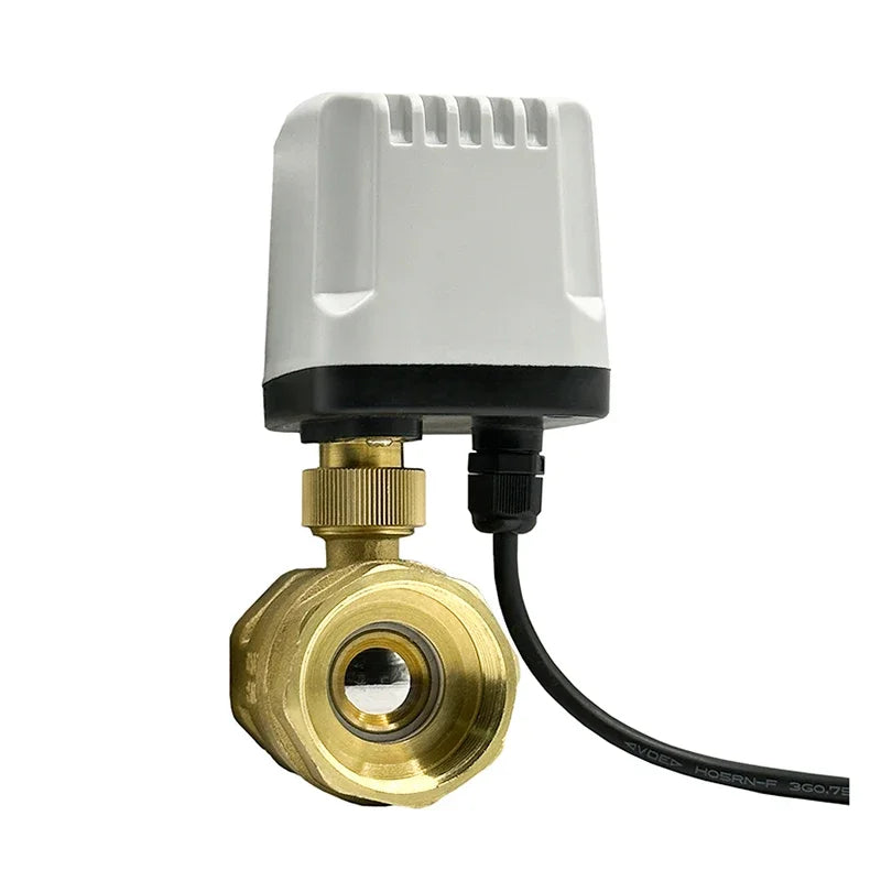 1/2" to 2" Normally Closed 220V 12V 24V IP65 Waterproof Solenoid Valve 2-Wire Brass Motorized Electric Ball Valve for Water Oil