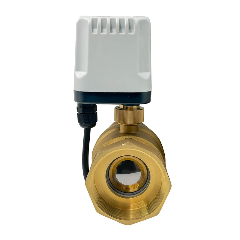 1/2'' 3/4'' 1'' 1-1/4'' 2 Inch IP65 Waterproof Motorized Ball Valve 2 Way Brass Electric Ball Valve Big Torque Metal Motor