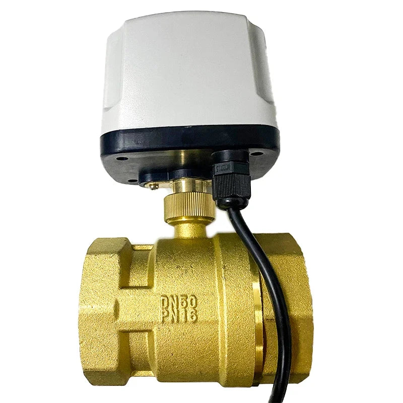 1/2" to 2" Normally Closed 220V 12V 24V IP65 Waterproof Solenoid Valve 2-Wire Brass Motorized Electric Ball Valve for Water Oil