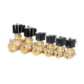 1/2" 3/4" 1" 1-1/4" 1-1/2" 2" Brass Electric Solenoid Valve With Manual Emergency Switch AC220V DC24V For Water Oil Air